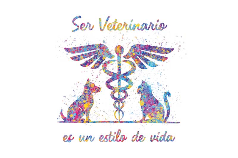 Lámina Veterinaria